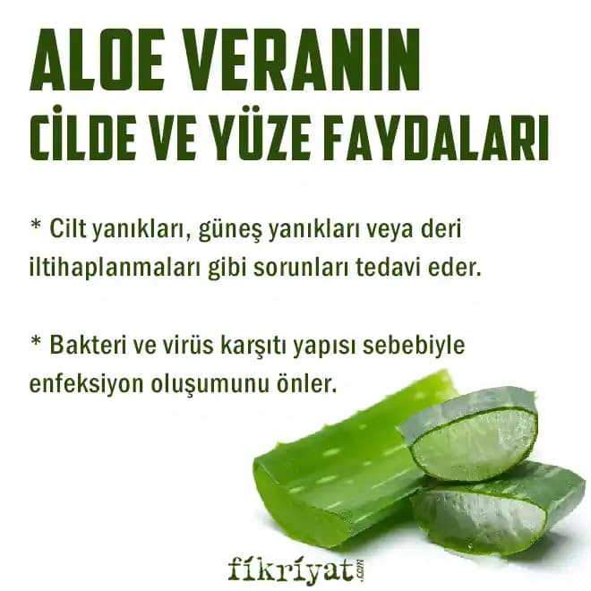 Aloe Vera Yüze Faydaları ve Doğal Cilt Bakımında Kullanımı Rehberi