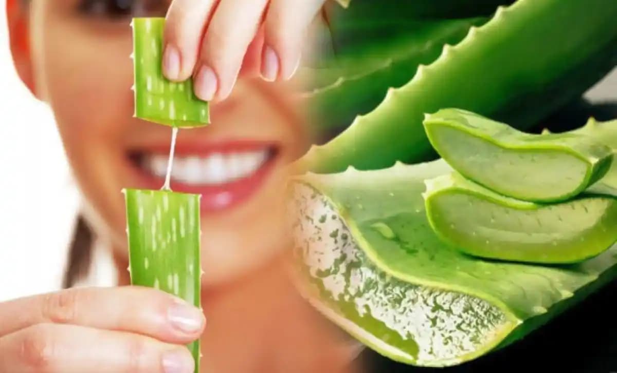 Aloe Vera’nın Cilt Sağlığına Katkıları ve Doğal Güzellik İçin Kullanım İpuçları