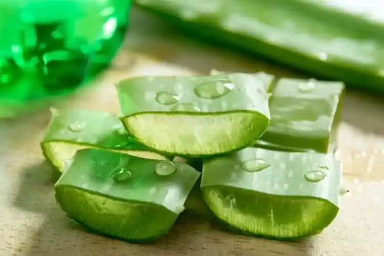 Aloe Vera’nın Yüz Beyazlatıcı Etkisi ve Cilt Sağlığına Faydaları