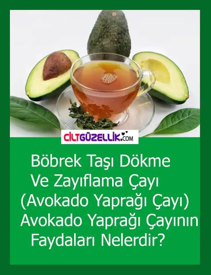 Avokado Kremi Nedir ve Cilt Sağlığına Faydaları Nelerdir