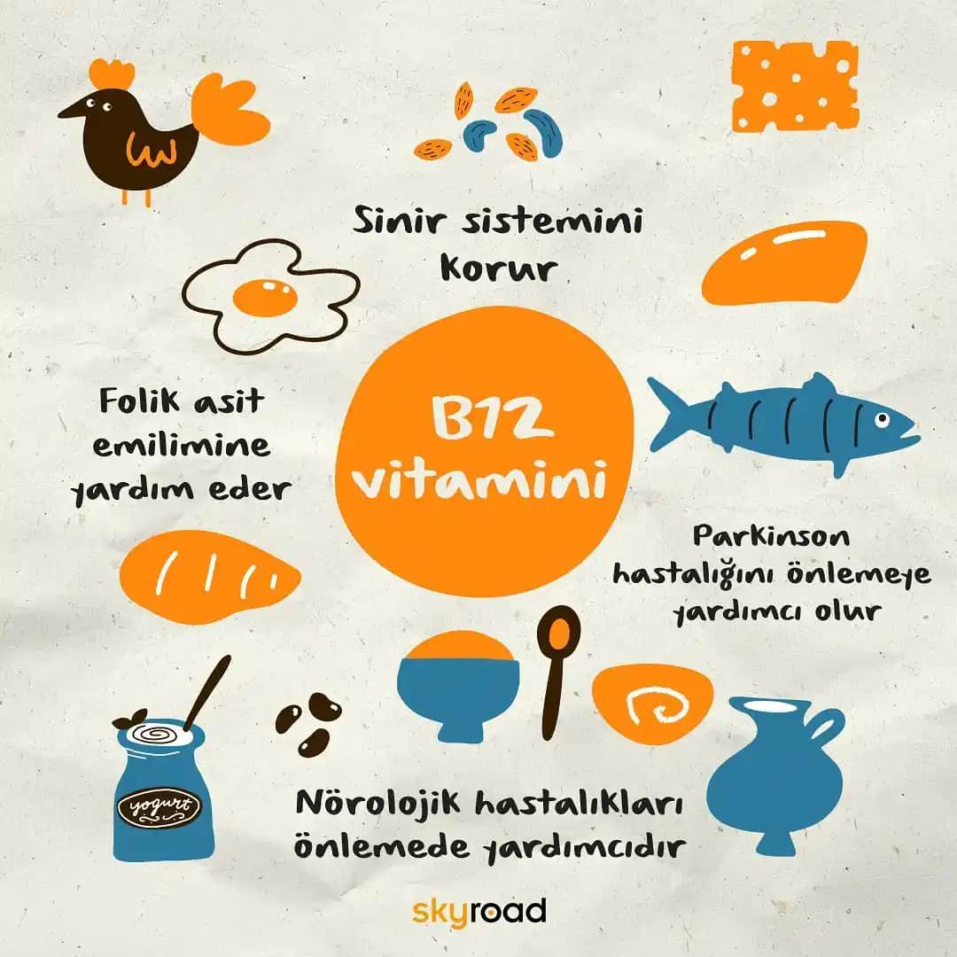 B12 Vitamini Nereden Alınır Sağlıklı ve Güzellik İçin Doğru Kaynaklar