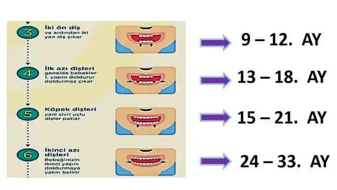 Bebeklerde Diş Lekeleri: Nedenleri, Türleri ve Etkili Çözüm Yöntemleri