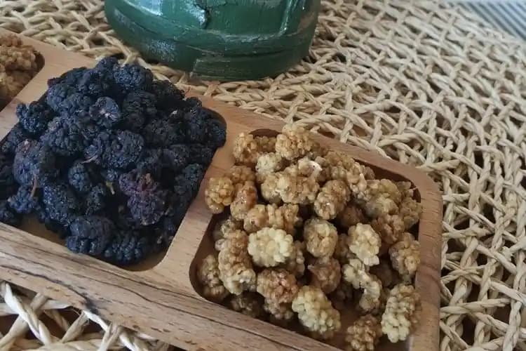 Beyaz Dut Kurusu Kullanımı ve Faydaları Sağlık ve Kozmetik Açısından Detaylı Rehber