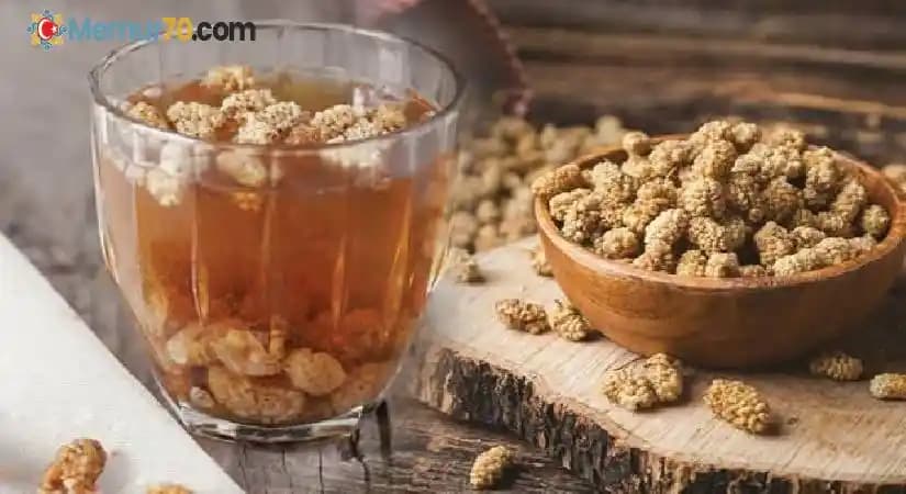 Beyaz Dut Kurusu Suyunun Kozmetik Faydaları ve Doğal Cilt Bakımı İpuçları