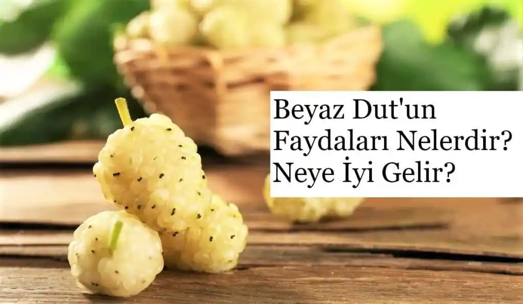 Beyaz Dutun Kozmetik Alanındaki Faydaları ve Kullanım Alanları Analizi
