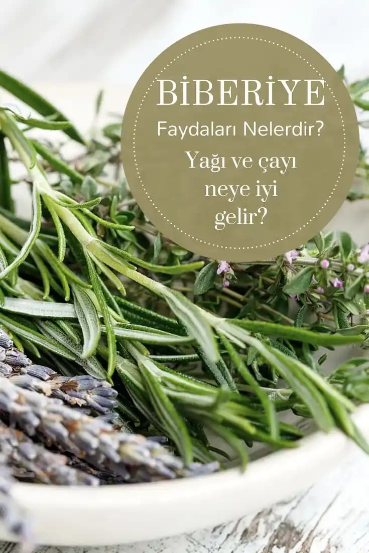 Biberiye Şampuanının Saç Sağlığına Katkıları Doğal ve Güçlendirici Etkileri