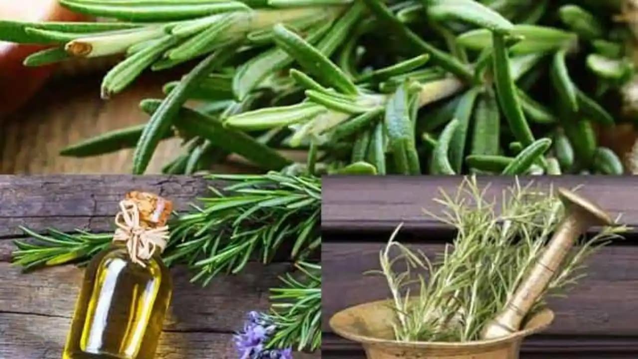 Biberiye Suyunun 2025'te Sağlık ve Güzellikte Devrim Yaratmasının 7 Nedeni