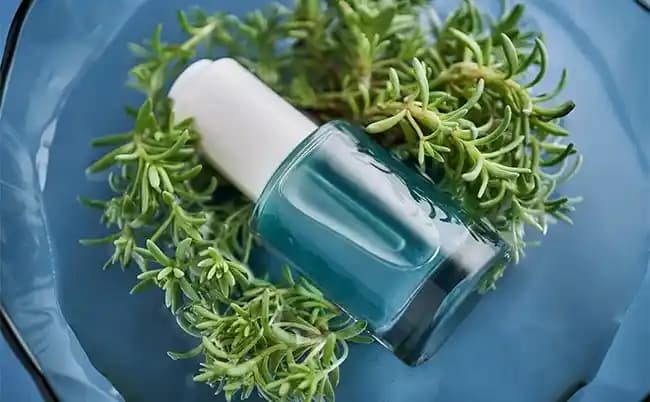 Biberiye Suyu ile Doğal Cilt Bakımı ve Yüz Uygulama Yöntemleri