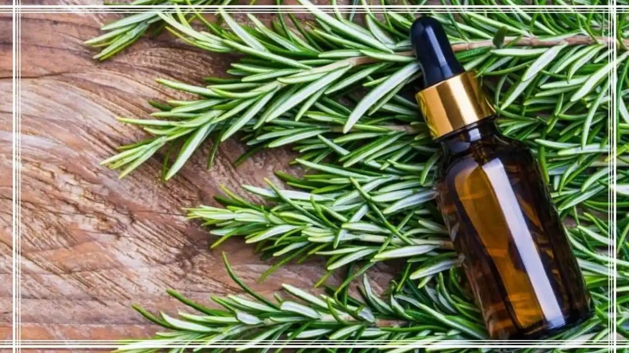 Biberiye Suyu ile Saç Sağlığını Destekleyen Doğal Yöntemler ve Kullanım Tavsiyeleri