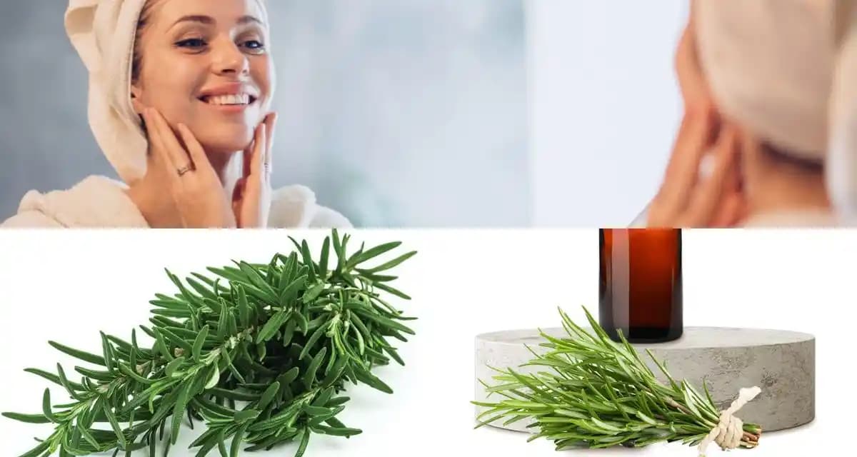 Biberiye ve Cilt Sağlığı: Doğal Güzelliğin Anahtarı ve Faydaları