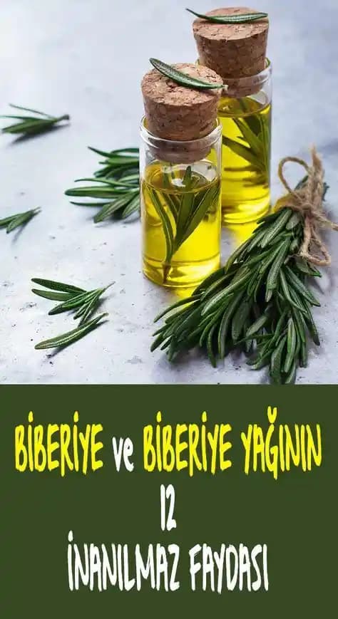 Biberiyenin Cilde Faydaları ve Doğal Güzellik Sırları Analizi