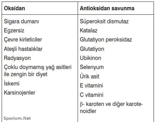 Kozmetik Dünyasında Antioksidan Çeşitleri ve Cilt Koruyucu Güçlü Bileşenler