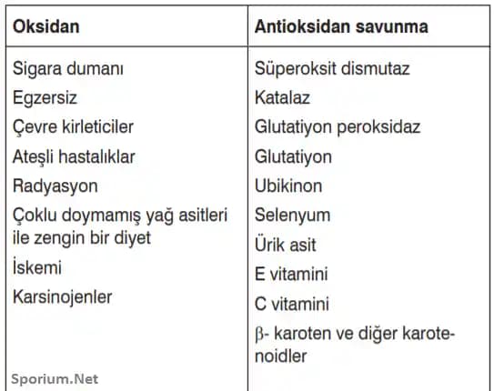 Kozmetik Dünyasında Antioksidan Çeşitleri ve Cilt Koruyucu Güçlü Bileşenler