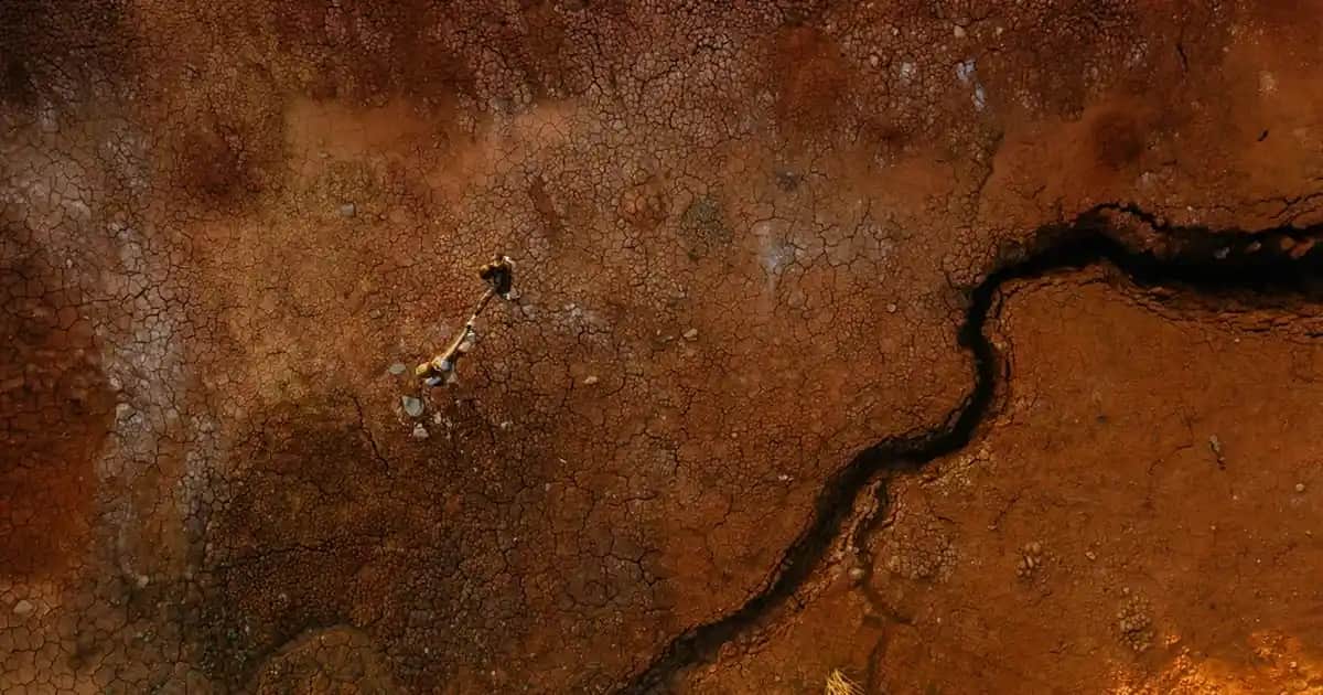 1 Yaş Çocuklar İçin Balık Yağı Faydaları ve Kullanım Önerileri