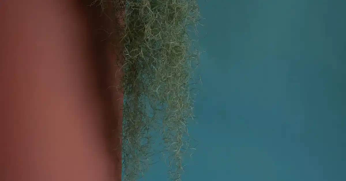 Ayak Bileği Ödemini Hafifletmek İçin Doğal ve Etkili Çözümler Hakkında Kapsamlı Bilgi