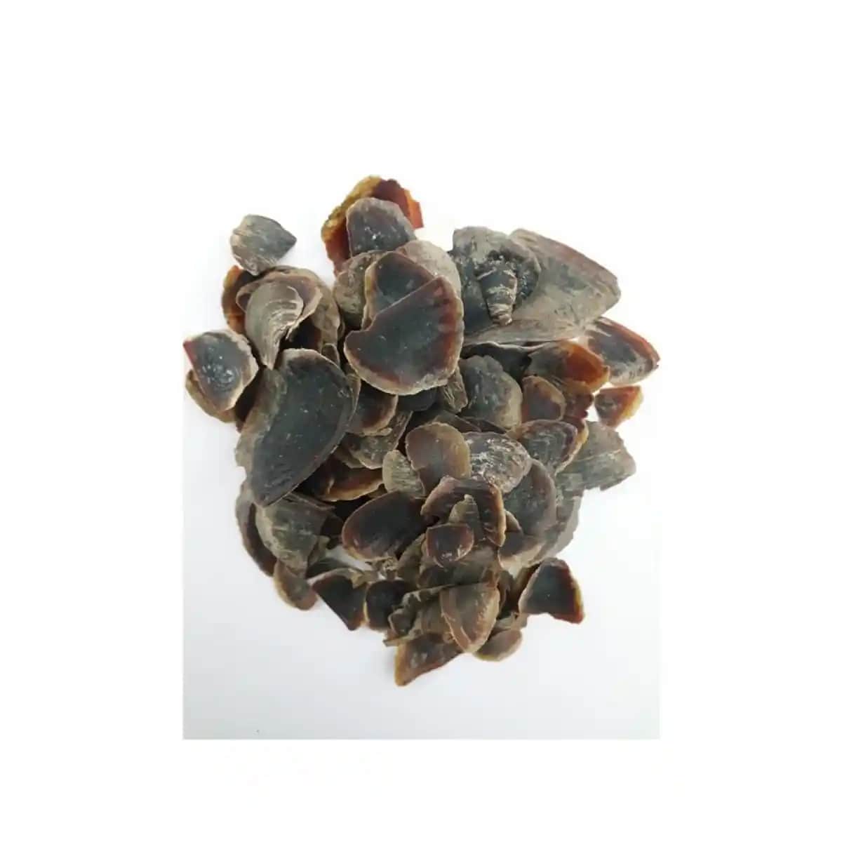 Ayakta Şeytan Tırnağı Nedir ve Doğal Kişisel Bakımda Nasıl Kullanılır