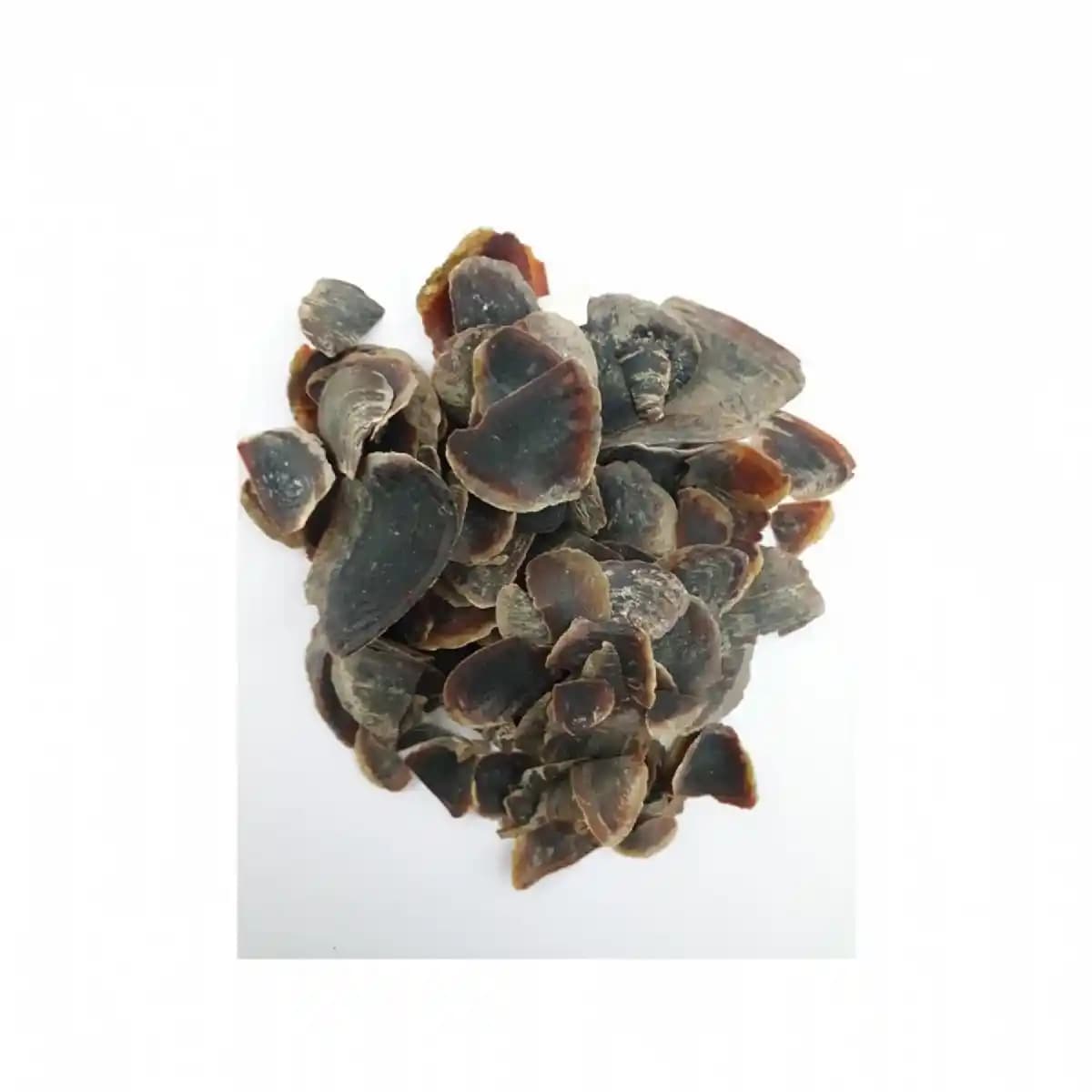 Ayakta Şeytan Tırnağı Nedir ve Doğal Kişisel Bakımda Nasıl Kullanılır