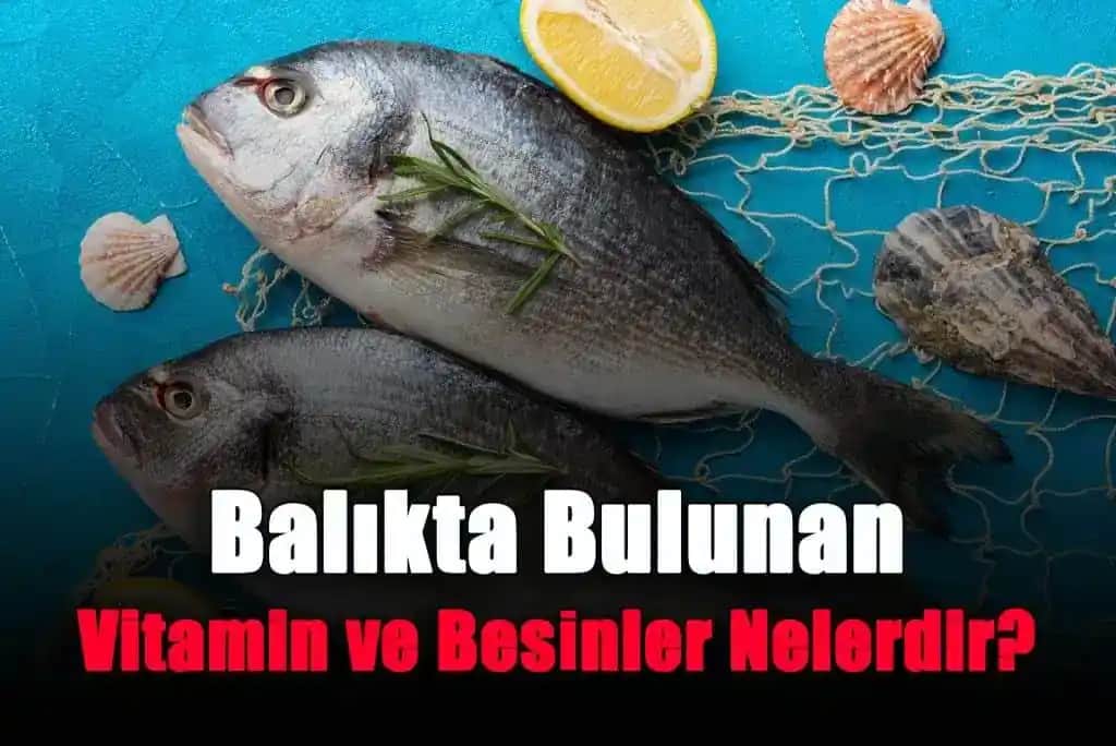 Balık ve İçeriğindeki Vitaminler: Sağlık ve Güzellik İçin Doğal Bir Kaynak