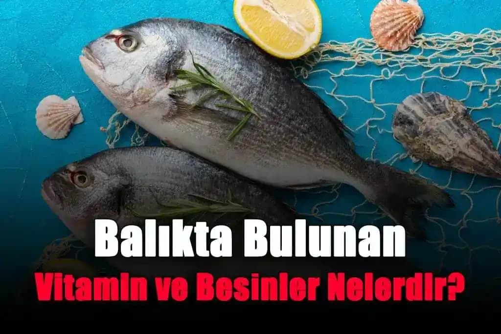 Balık ve İçeriğindeki Vitaminler: Sağlık ve Güzellik İçin Doğal Bir Kaynak