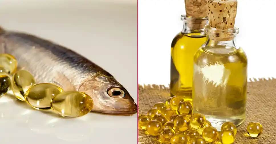 Balık Yağı Nasıl Yapılır ve Kozmetik Kullanımı İçin Doğal Bir Kaynak