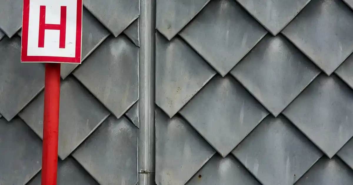 Balıkta Omega-3 Miktarı ve Sağlık Üzerindeki Etkileri Analizi