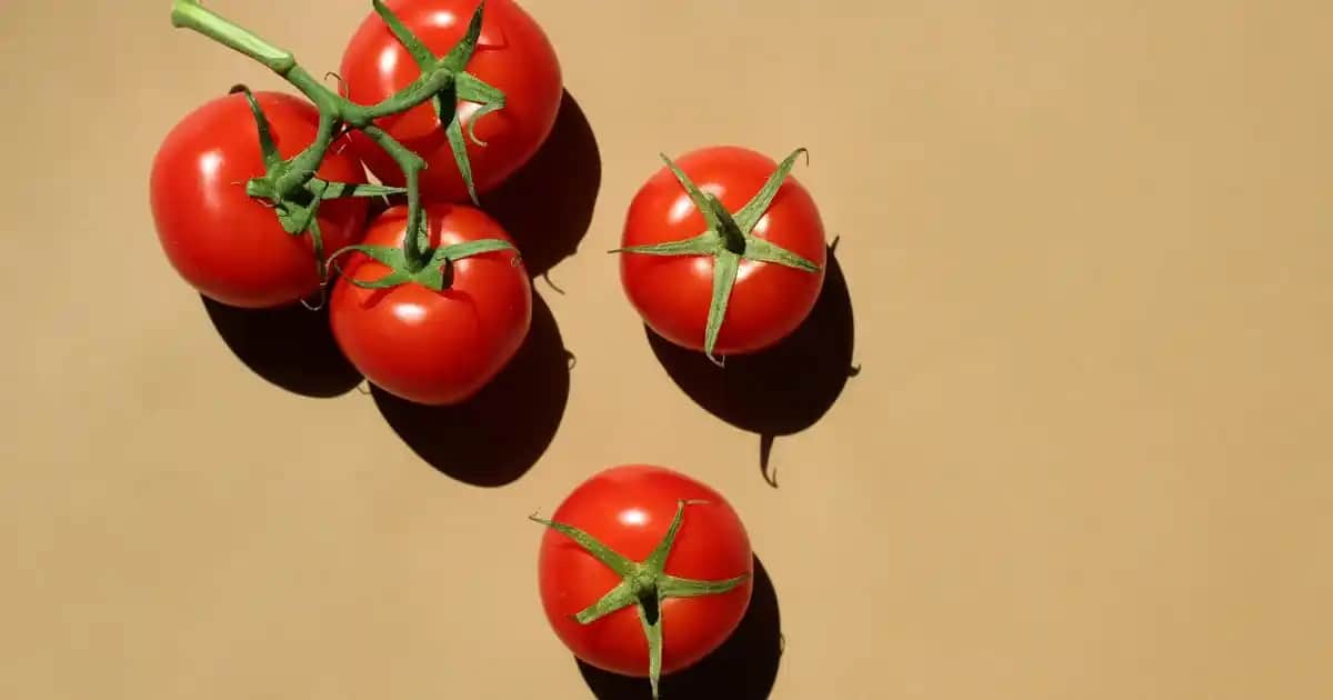 Barcelino Saç Bakım Yağı: Doğal İçeriklerle Saçlarınızı Güçlendiren Çözüm