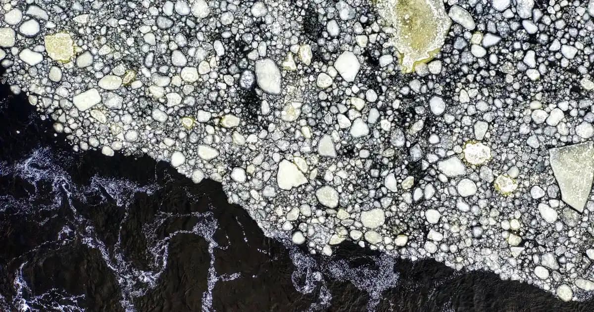 Bioderma Çocuk Güneş Kremi: Güvenilir ve Etkili Güneş Koruma Çözümleri