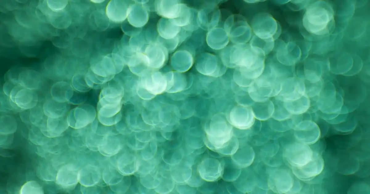 Bioderma Şampuanları ile Atopik ve Hassas Ciltler İçin Güvenilir Bakım Çözümleri