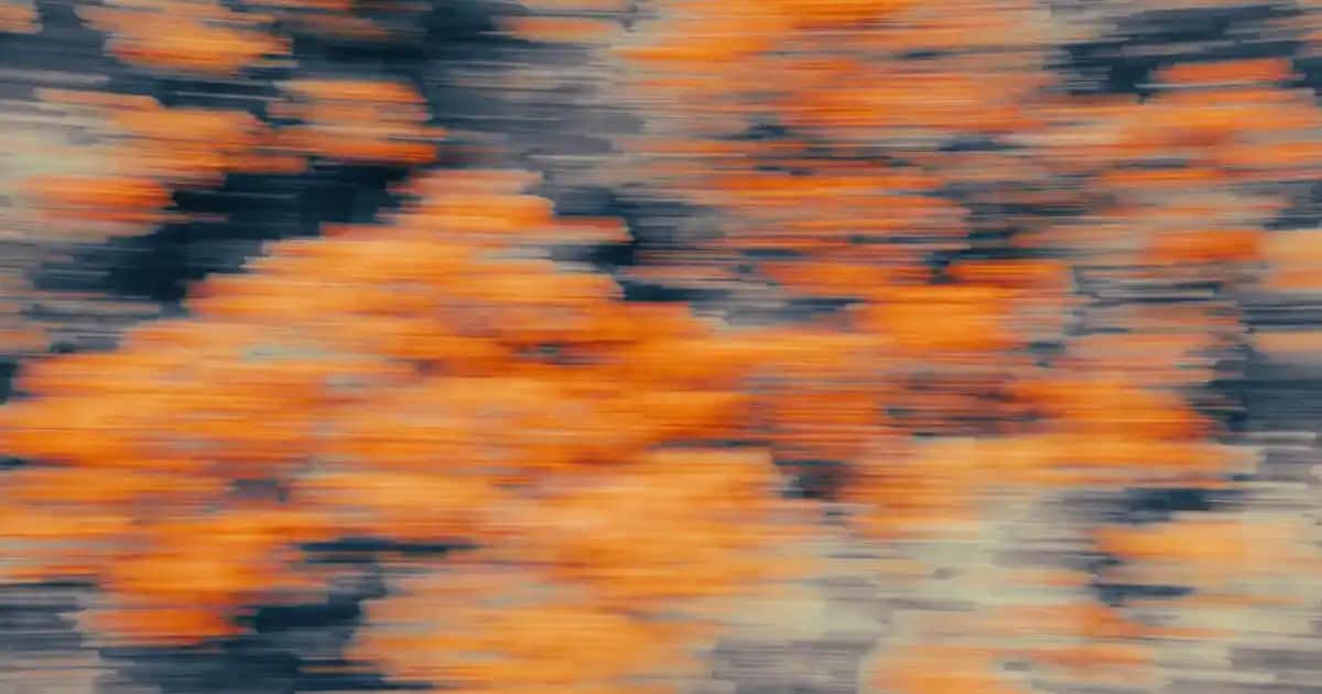 Biotin ve Mor Şampuan Kullanımıyla Saç Sağlığını Destekleme Rehberi