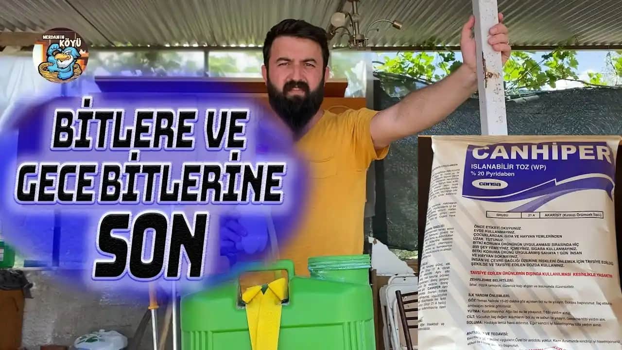 Bitlere Kesin Çözüm Yöntemleri: Güvenli ve Etkili Mücadele Rehberi