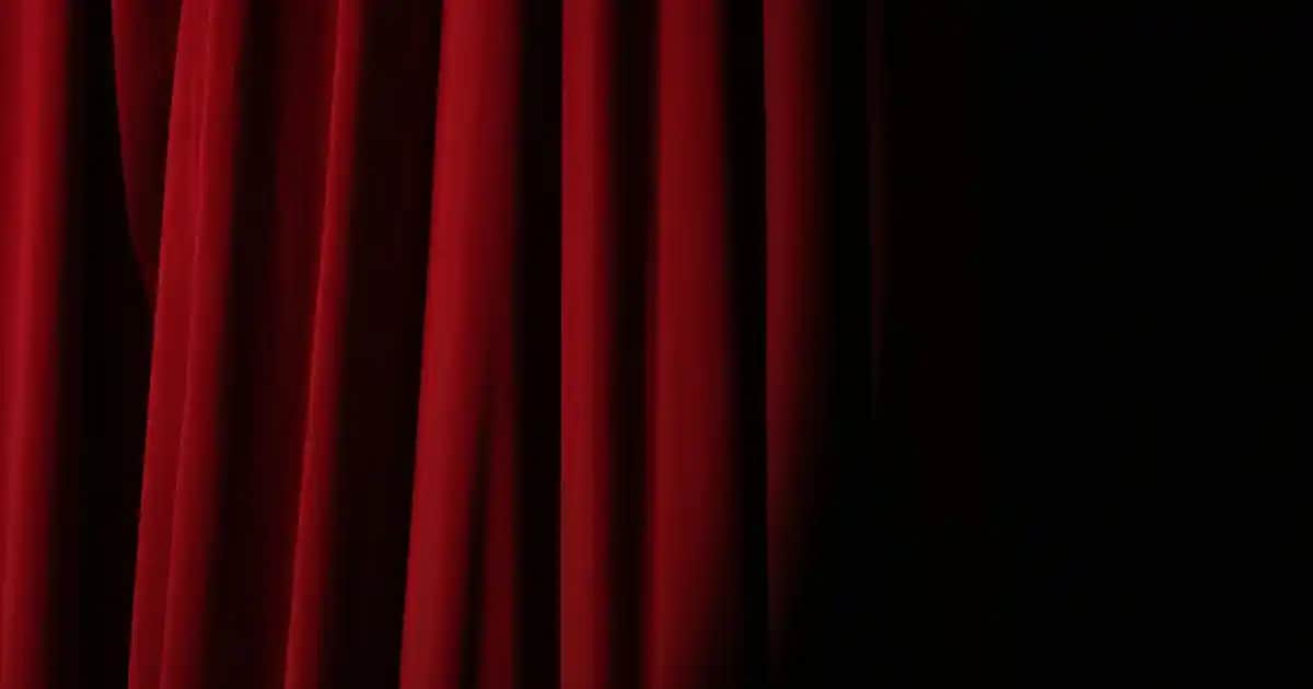 Calendula Yağı Nedir, Nasıl Yapılır ve Cilt Sağlığına Faydaları Nelerdir