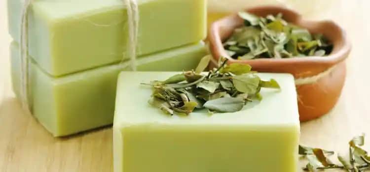 Çay Ağacı Sabunu: Doğal Güzellik ve Bakım İçin Güçlü Bir Seçenek