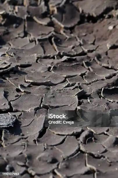 Ciltteki Çatlak Görünümünü Azaltma ve Önleme Yolları Detaylı Rehber