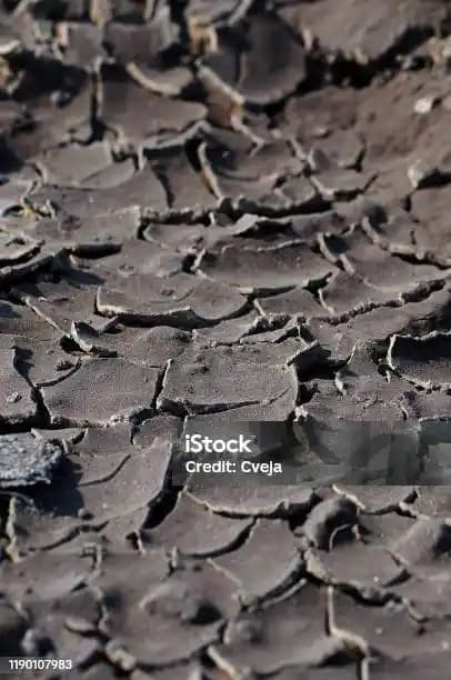 Ciltteki Çatlak Görünümünü Azaltma ve Önleme Yolları Detaylı Rehber