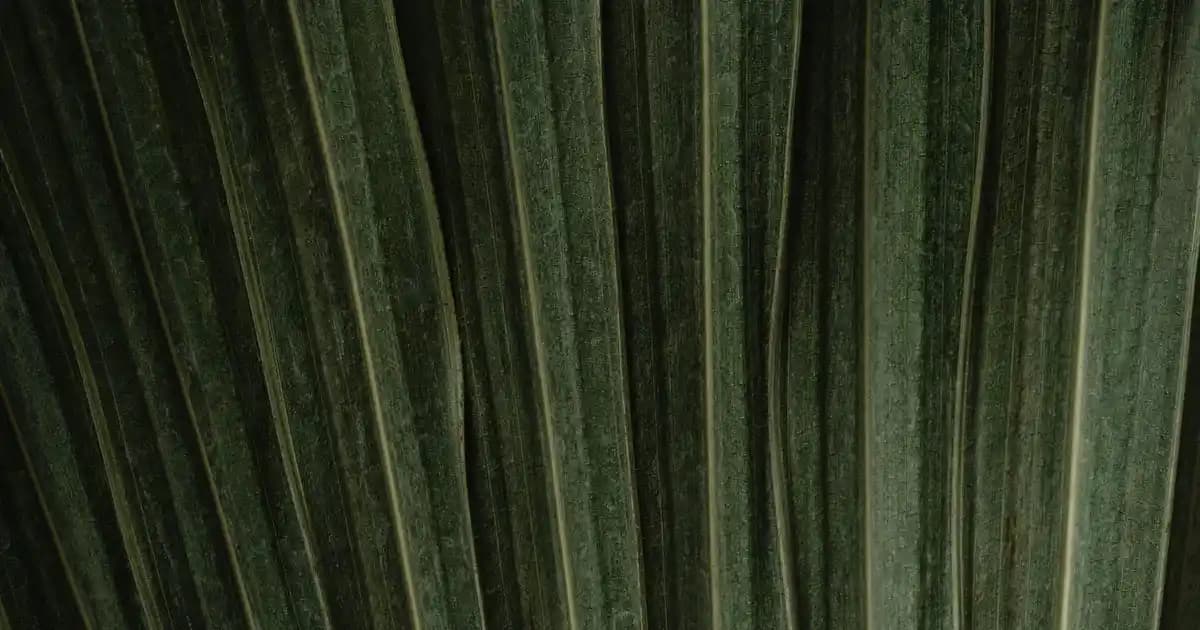 Creapure Nedir ve Kozmetik Sektöründe Kullanımı Hakkında Detaylı Bilgi