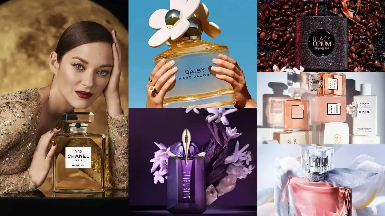 Dünyanın En Güzel Kokusu: Parfüm Seçiminde İncelikler ve Güncel Trendler