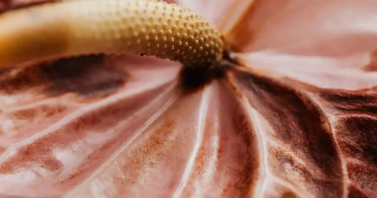Dünyanın En Güzel Saç Renkleri ve Kendinizi Yansıtacak Doğru Tonlar