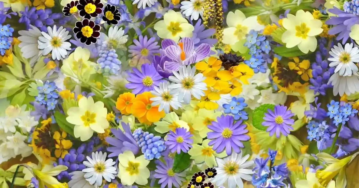 E ve C Vitamini ile Cilt Sağlığını Güçlendirme Rehberi