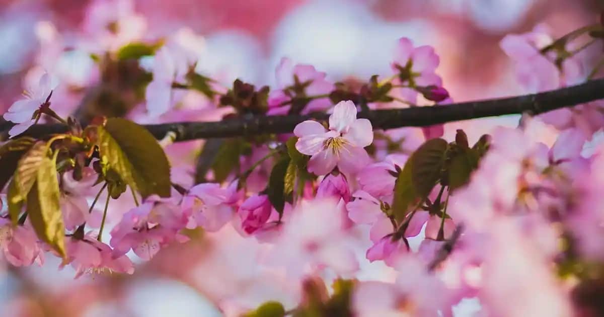 En İyi Besin Takviyesi Markaları ve Sağlıklı Yaşam İçin Güvenilir Seçenekler