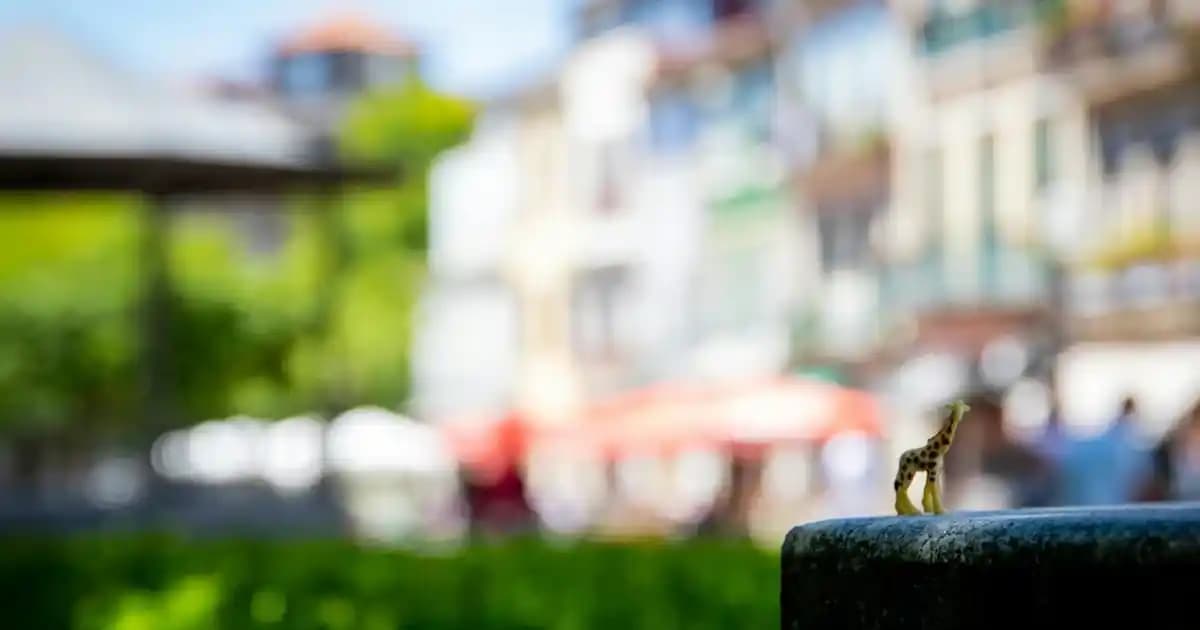 En İyi CLA Markaları ve Seçiminde Dikkat Edilmesi Gerekenler