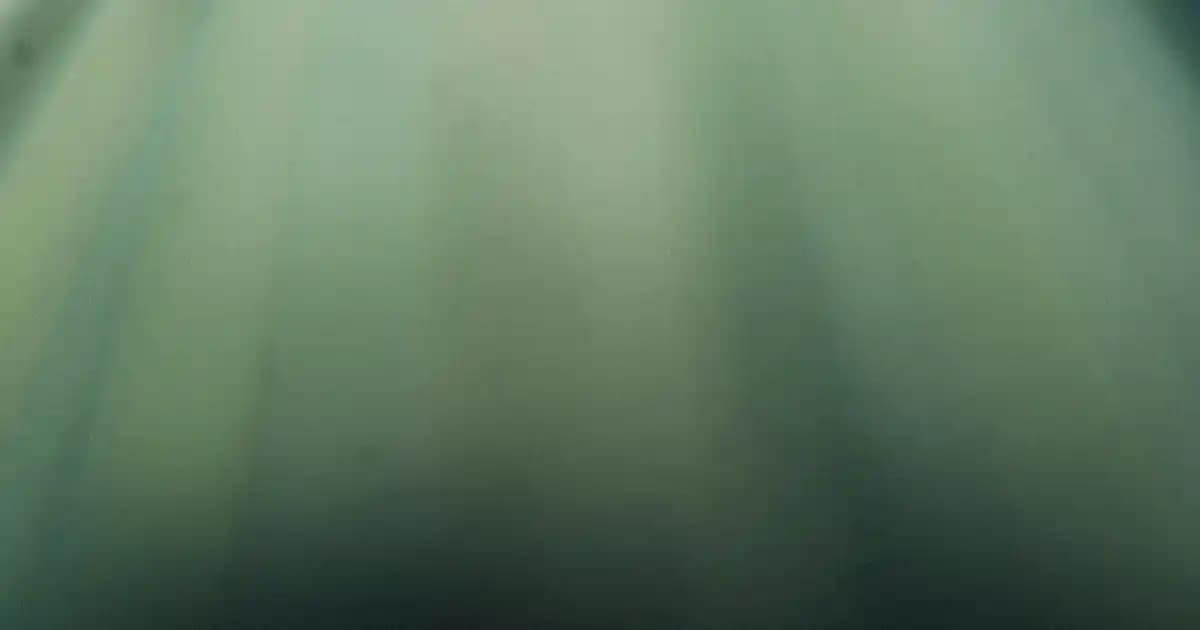 En İyi Diş Protez Yapıştırıcıları Güvenli ve Uzun Süreli Kullanım İçin Rehber