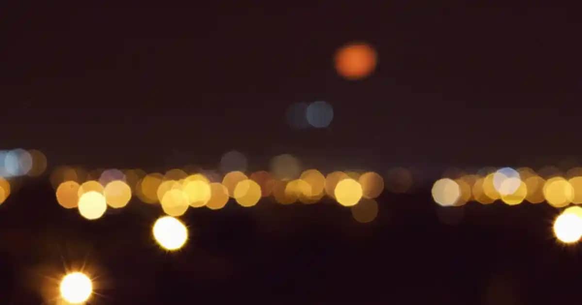 En İyi Fresh Kadın Parfümleri: Doğallık ve Hafiflik ile Günlük Şıklık