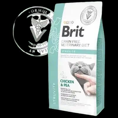 En İyi Hasta Maması Seçenekleri Sağlıklı ve Güvenilir Beslenme Çözümünü Sunar