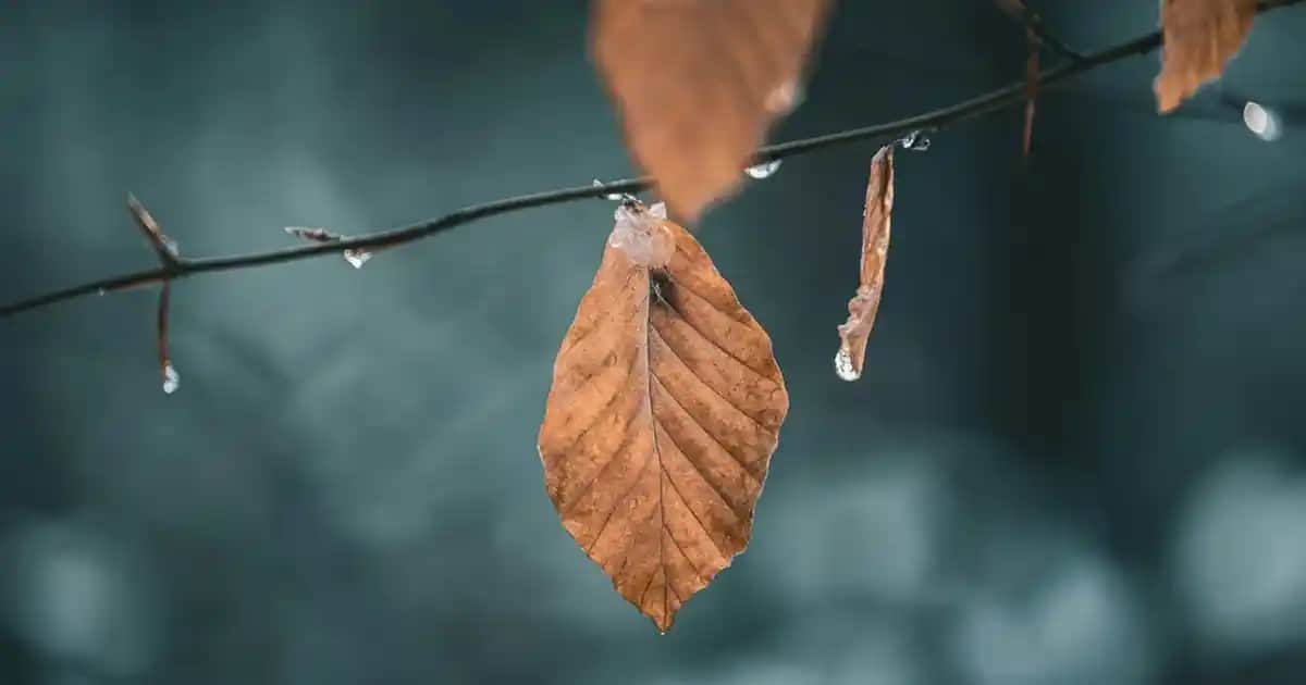 En İyi Vücut Spreyi Seçenekleri ve Kullanım İpuçları ile Kendinizi Güvende ve Çekici Hissedin