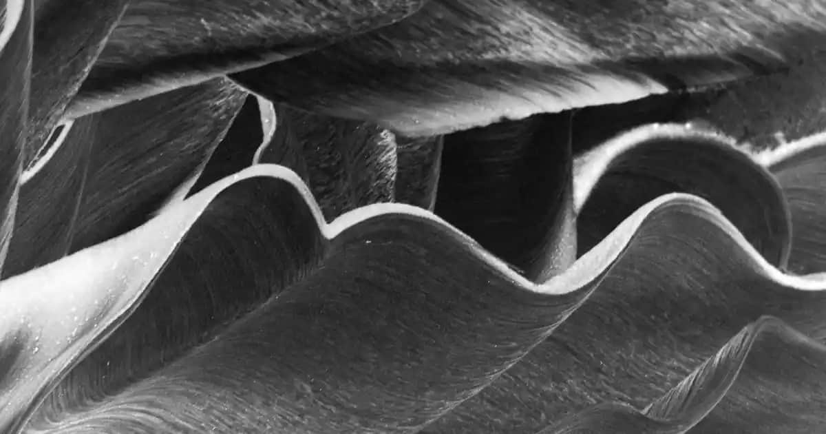 Epilasyon Aleti Seçimi ve Kullanımı: Uzun Vadeli Güzellik Çözümleri