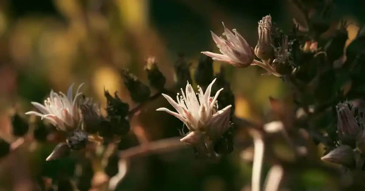 Garnier BB Krem Light ile Doğal ve Hafif Makyaj Çözümü