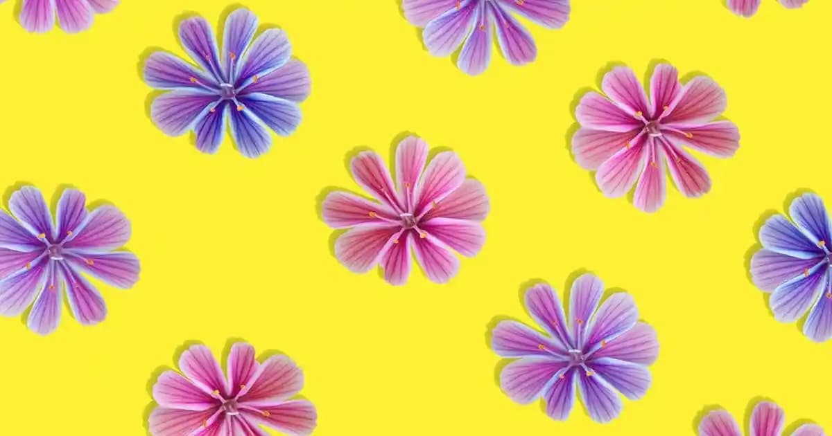 Garnier Çift Fazlı Göz Makyaj Temizleyicisi: Hassas Gözler İçin Etkili ve Güvenilir Temizlik