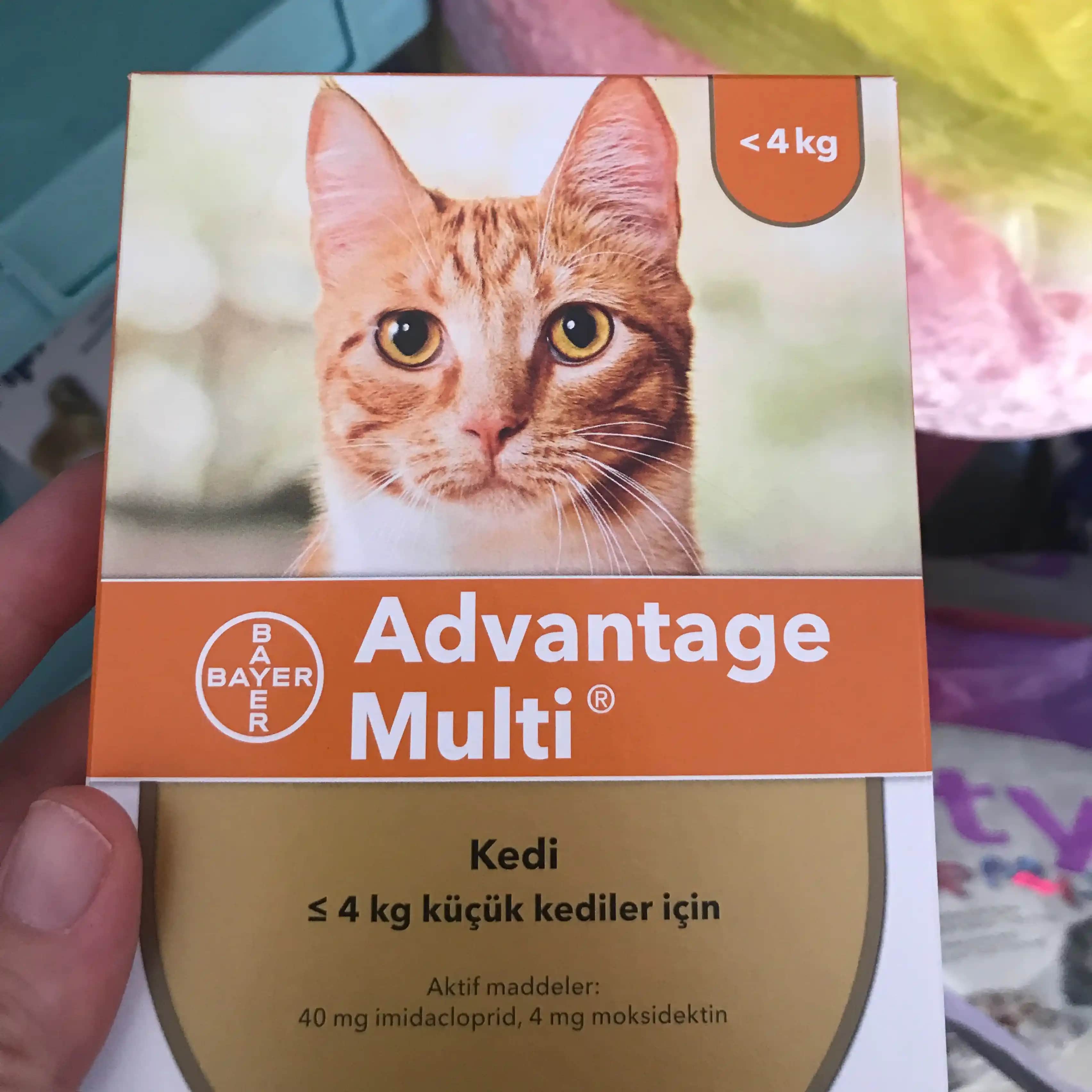 İç ve Dış Parazitler İçin En Güvenilir ve Etkili İlçer Seçenekleri Rehberi