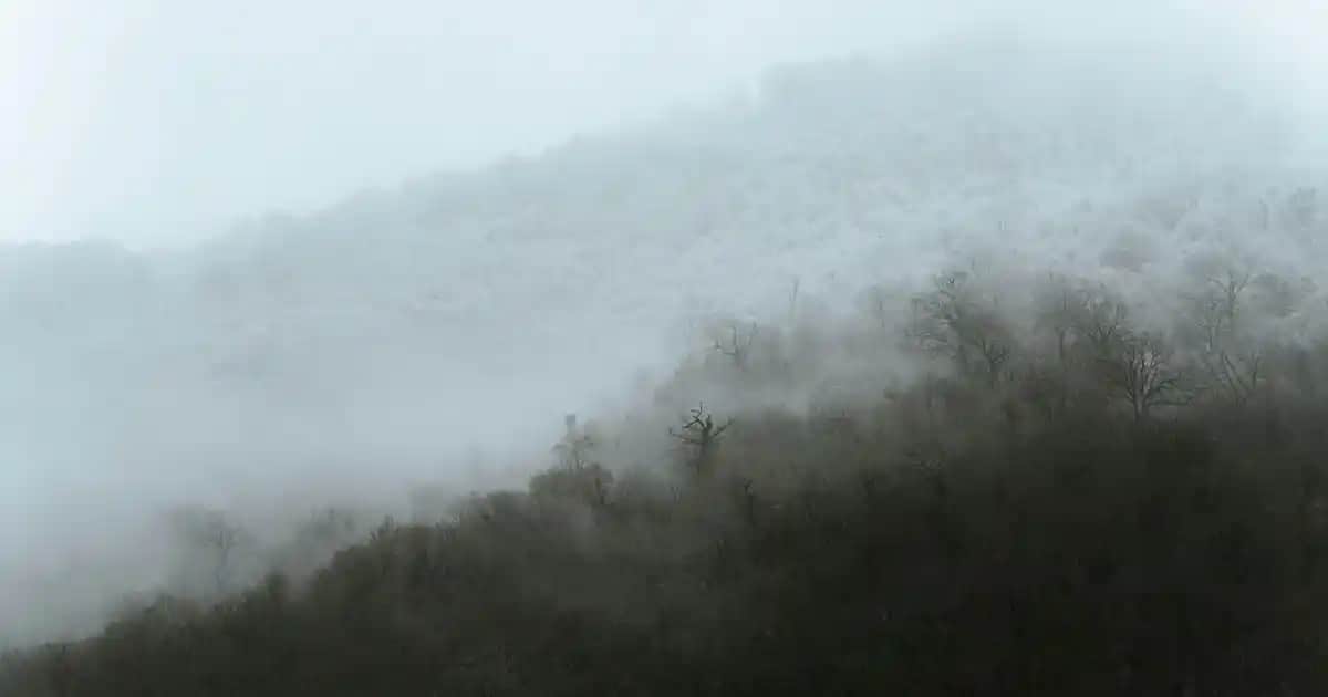 Kepeğe Karşı Sirke: Doğal ve Etkili Saç Derisi Temizleme Yöntemleri