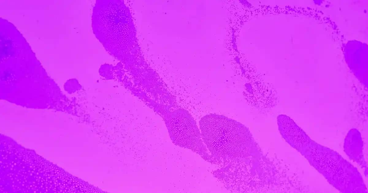 Kollajen Takviyesi Mag Plus ile Cilt Sağlığını Destekleme ve Gençlik Sürdürme